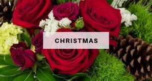 Flower Delivery to Springfield by Schneider's Florist